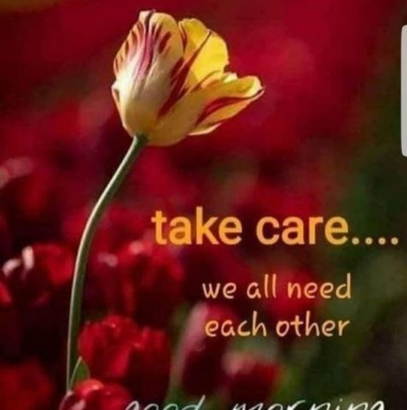 Meet your Posher, Saima - Picture 1 of 1